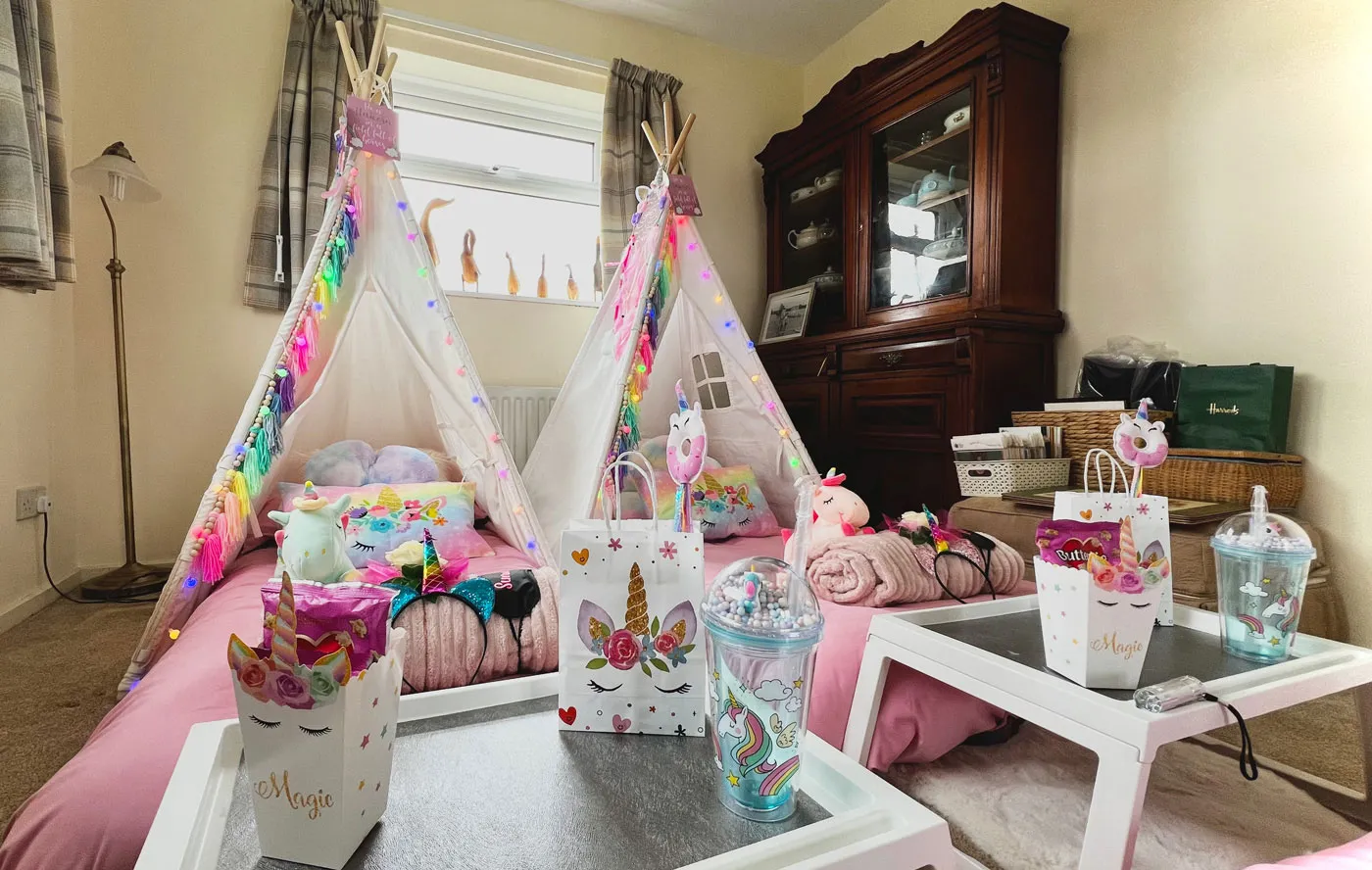 Photo of Unicorns Theme