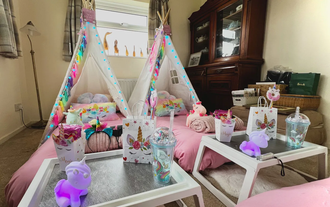 Photo of Unicorns Theme